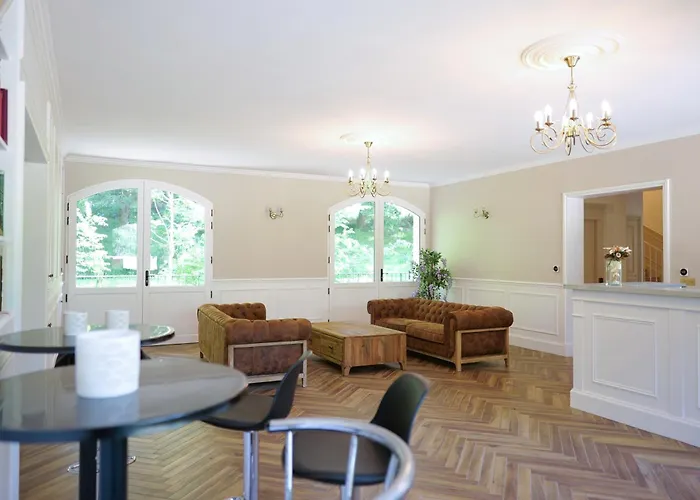 Willa Chateau Le Moulin - *